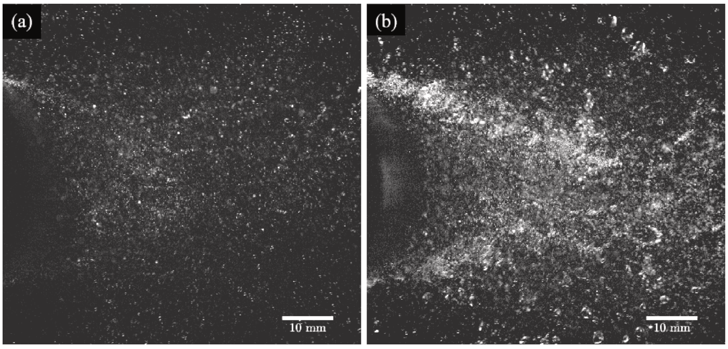 Key figure: bubbly flow around a circular cylinder in the supercritical regime